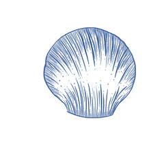 Scallop shells painted with blue lines