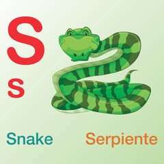 English-Spanish alphabet book design for international kids with 