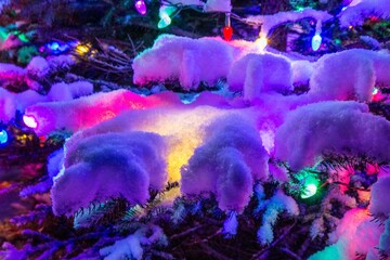 Closeup of lights on the tree after a snowfall