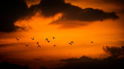 Flock of birds flying against a beautiful cloudy orange sky, perfect for wallpapers