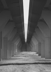 Grayscale of a building with columns forming a corridor