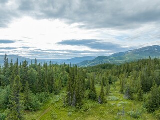 Beautiful shot of the Swedish mountains of Are in Copperhill in summer