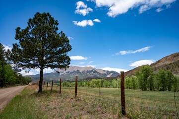 Beautiful landscape with a fence along the country road
