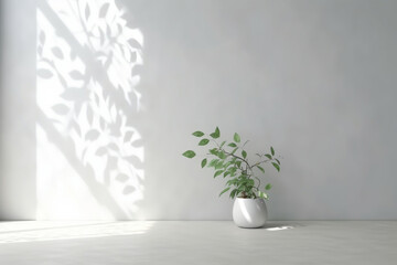 Elegant White Background Wall Design