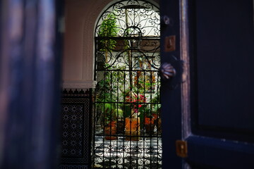 Opened door to private cloister full of plants