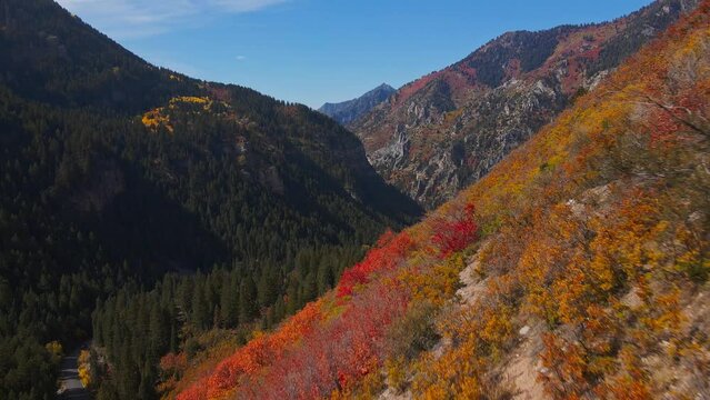 Stunning and colorful drone footage of the Alpine Loop in Utah during the fall