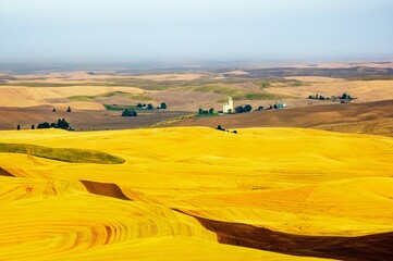 Beautiful view of a harvested field in Palouse