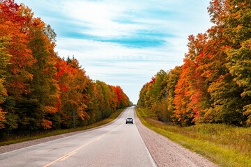 Car driving along an asphalt road through a mesmerizing forest in fall colors, autumn foliage