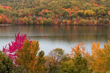 Beautiful view of a lake with fall foliage trees around