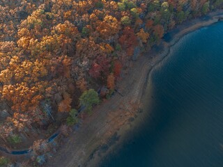 Fototapeta na wymiar Aerial view of beautiful colorful autumn trees on the shore of a river