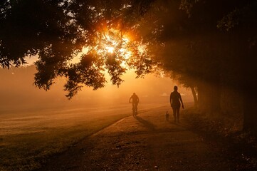 Road with people running and riding bikes in a park during sunset