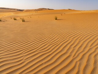 Fototapeta na wymiar Beautiful shot of the Abu Dhabi desert on a sunny day in Liwa, United Arab Emirates