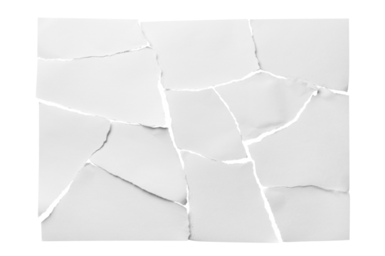 Torn sheet of paper cut out