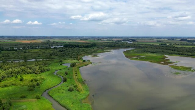 Drone view of a beautiful forest near the lake in Biesbosch, Netherlands