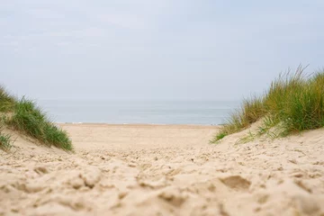 Foto op Plexiglas Noordzee, Nederland Beach view from the path sand between the dunes at Dutch coastline. Marram grass, Netherlands. The dunes or dyke at Dutch north sea coast
