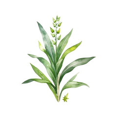 Cute botanical watercolor plant. Illustration AI Generative.
