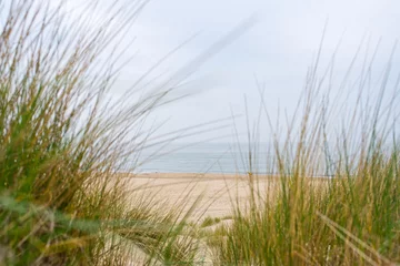 Papier Peint photo Lavable Mer du Nord, Pays-Bas Beach view from the path sand between the dunes at Dutch coastline. Marram grass, Netherlands. The dunes or dyke at Dutch north sea coast