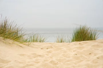 Foto auf Acrylglas Nordsee, Niederlande Beach view from the path sand between the dunes at Dutch coastline. Marram grass, Netherlands. The dunes or dyke at Dutch north sea coast