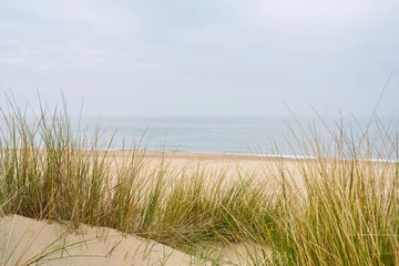 Crédence de cuisine en verre imprimé Mer du Nord, Pays-Bas Beach view from the path sand between the dunes at Dutch coastline. Marram grass, Netherlands. The dunes or dyke at Dutch north sea coast