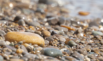 Wet stones glistening on a beach in the morning light