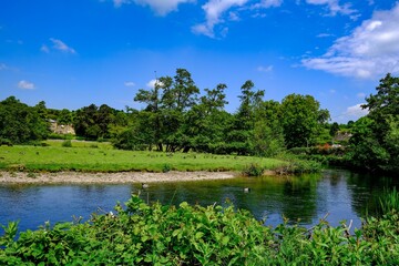 Beautiful landscape of ducks swimming on a lake surrounded by trees under on a bright sunny day