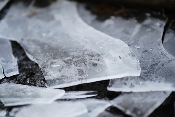 View of broken pieces of ice sheets on a ground
