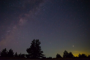 Fototapeta na wymiar night prairie with pine tree under starry sky, night outdoor landscape