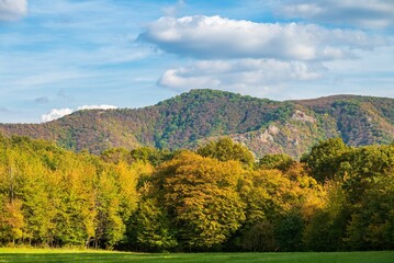 Fototapeta premium Autumn forest in the Pilis
