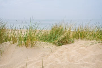 Fototapete Nordsee, Niederlande Beach view from the path sand between the dunes at Dutch coastline. Marram grass, Netherlands. The dunes or dyke at Dutch north sea coast