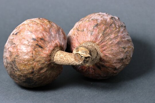 Closeup of wild sweetsop fruits on a gray surface