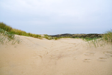 Fototapeta na wymiar Sand dunes with marram grass and empty beach on Dutch coastline. Netherlands in overcast day. The dunes or dyke at Dutch north sea coast