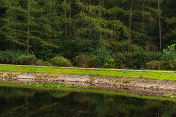 Lake in the park, calm surface of water and grassy shore in the foreground, and coniferous forest in the background.