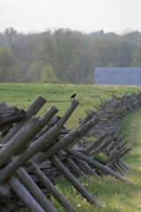 Vertical shot of battlefield wooden barricades placed in an open field