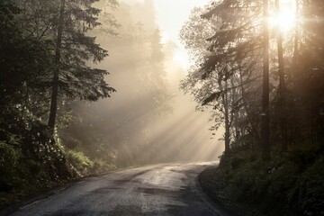 Fototapeta na wymiar Beautiful shot of a road in Trodheim, Norway in foggy weather