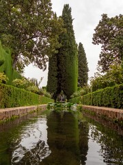 Vertical shot of a pond in the garden of the Royal Alcazar of Seville palace in Seville, Spain.