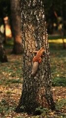 Brown squirrel hanging on the tree trunk