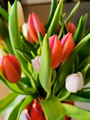 Vertical closeup shot of a colorful tulip bouquet in a vase