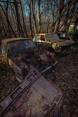 there are many cars sitting on the ground in the woods