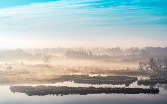misty lake near trees and shrubs at sunrise on a misty day © Peternagy/Wirestock Creators