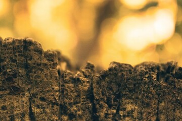 Macro shot of stone or rock structure on bokeh background