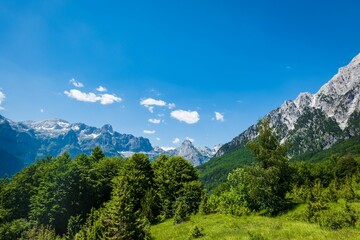 Scenic view of a beautiful forest and hills with mountains in the background