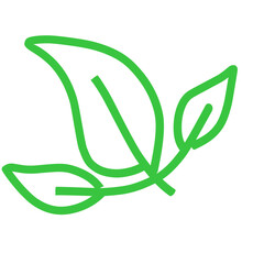 Leaf line icon