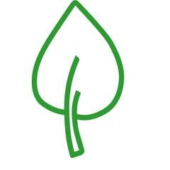 Leaf line icon