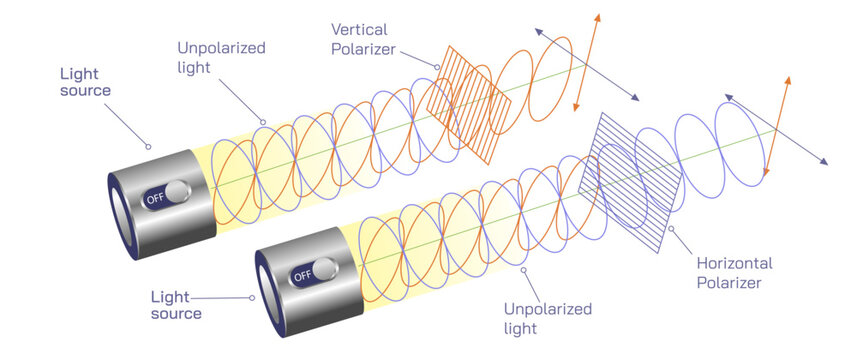 Polarized and unpolarized light vector illustration. Properties of light. Electromagnetic properties of light vertical and horizontal. general physics study material graphic images. electric potential