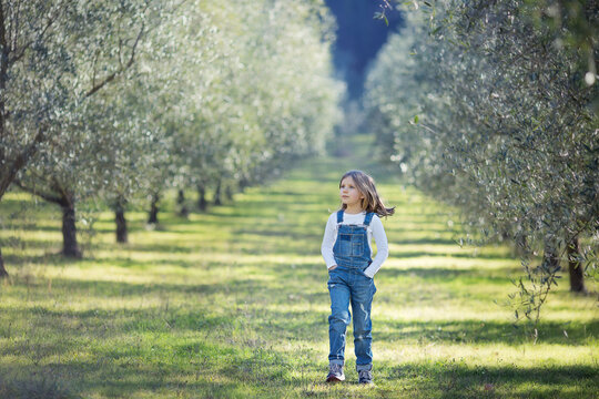 Girl walking though olive tree in Italy - Powered by Adobe