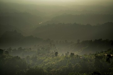 Beautiful landscape of forested hills in the mist
