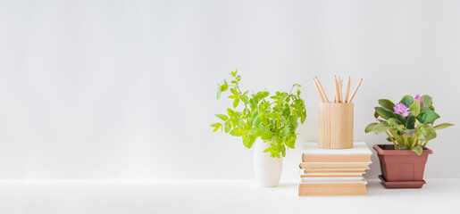 Home office, interior for bloggers workplace with flowers in a pot, office supplies on a light background
