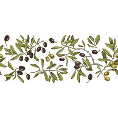 Olives seamless border. Floral illustration