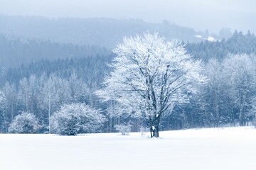 Beautiful shot of a mountainous landscape covered with snow