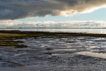 Dezembersparziergang in der Sonne